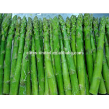 best quality frozen green asparagus prices